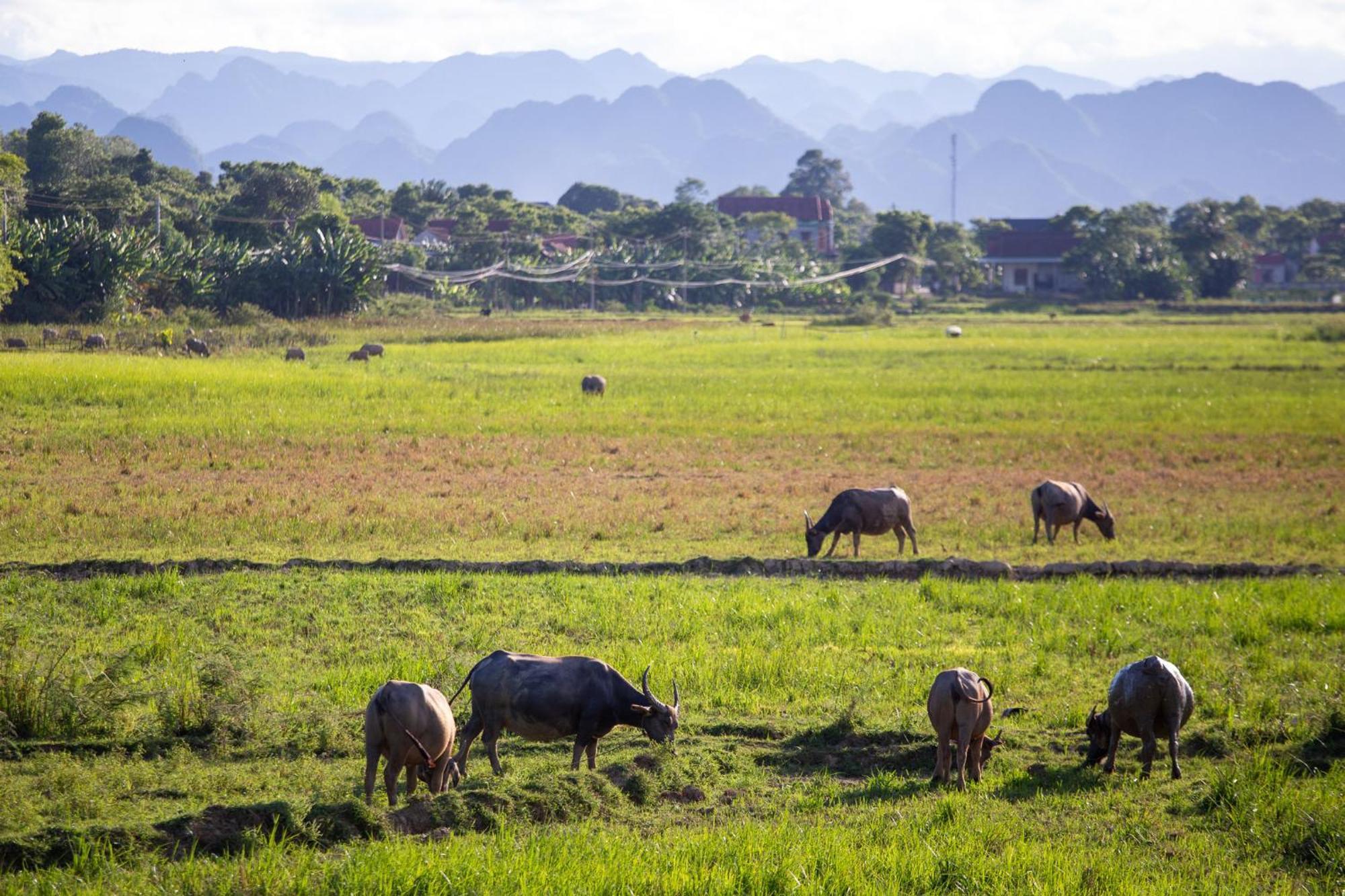 Phong Nha Farmstay Zewnętrze zdjęcie