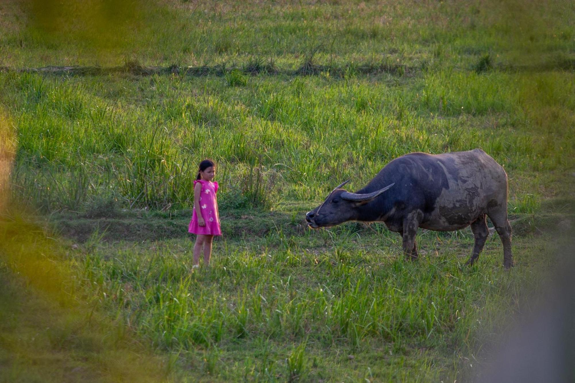 Phong Nha Farmstay Zewnętrze zdjęcie